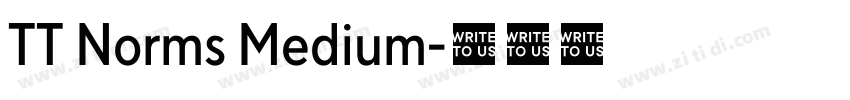 TT Norms Medium字体转换 TT Norms Medium字体转换